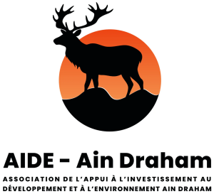 A.I.D.E. Ain Draham