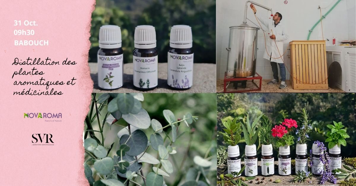 Atelier de distillation des plantes aromatiques et médicinales avec Novaroma à Babouch